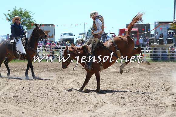 BungendoreRodeo2014_1421