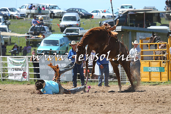 BungendoreRodeo2014_1657