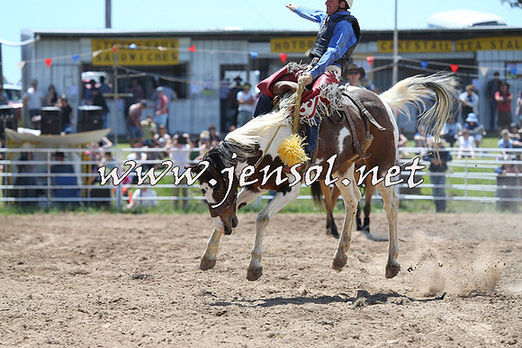 BungendoreRodeo2014_1377