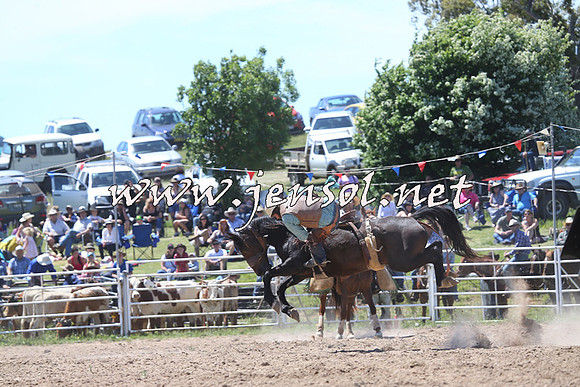 BungendoreRodeo2014_1729