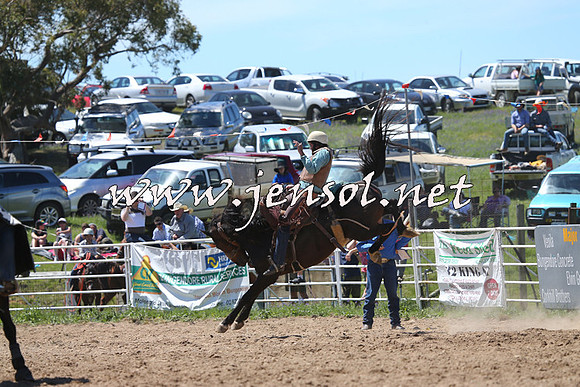 BungendoreRodeo2014_1719