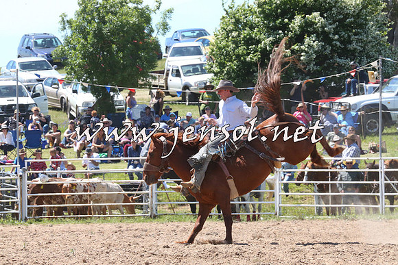 BungendoreRodeo2014_1823