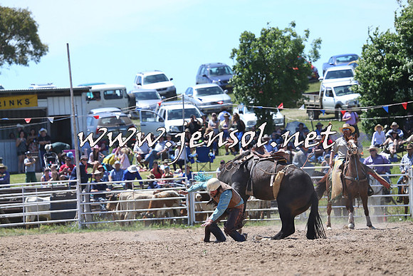 BungendoreRodeo2014_1721