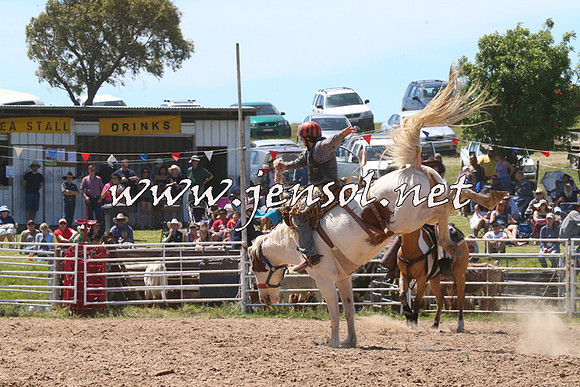 BungendoreRodeo2014_1785