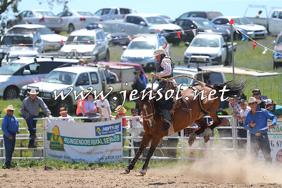 BungendoreRodeo2014_0937