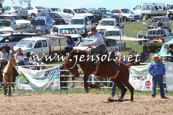 BungendoreRodeo2014_1808