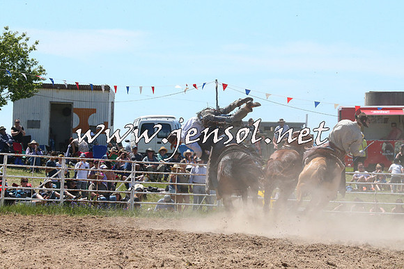 BungendoreRodeo2014_1851