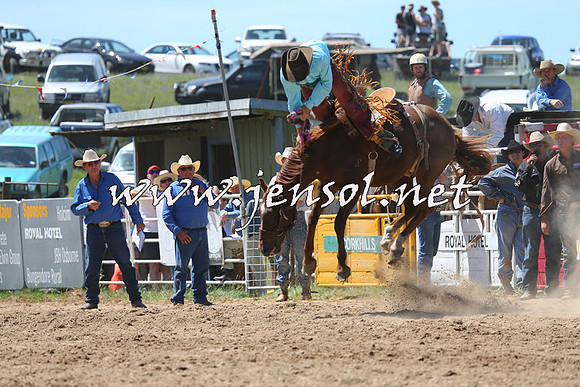 BungendoreRodeo2014_1645