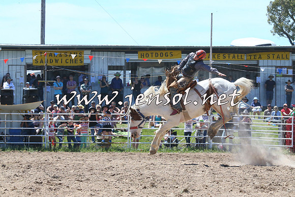 BungendoreRodeo2014_1799