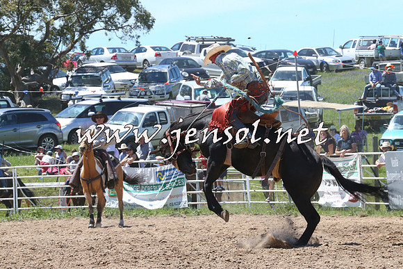 BungendoreRodeo2014_1742