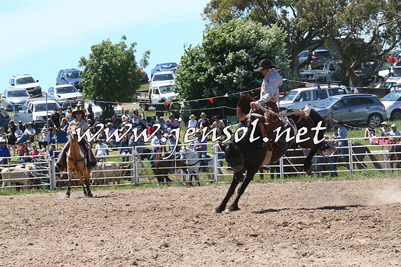 BungendoreRodeo2014_1760