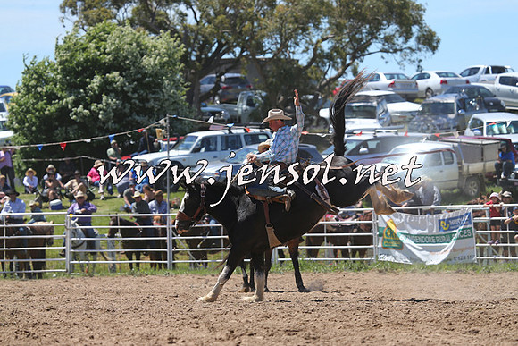 BungendoreRodeo2014_1631