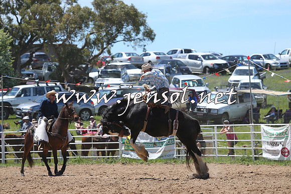 BungendoreRodeo2014_1639