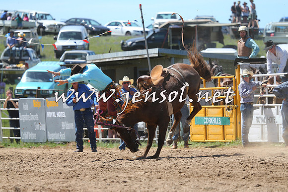 BungendoreRodeo2014_1662