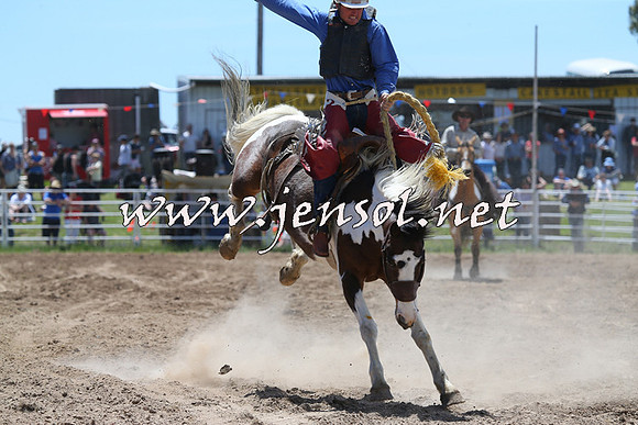 BungendoreRodeo2014_1389