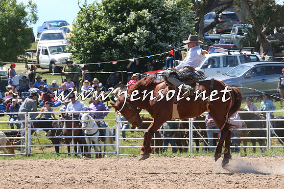BungendoreRodeo2014_1824