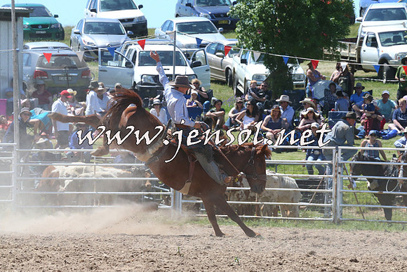 BungendoreRodeo2014_1834