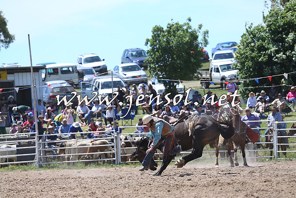 BungendoreRodeo2014_1726