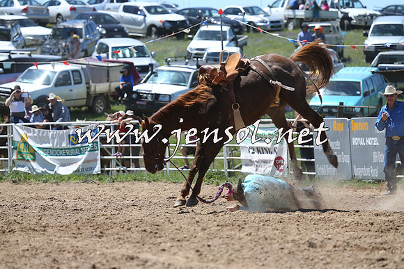 BungendoreRodeo2014_1655