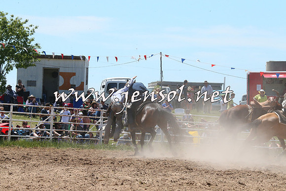 BungendoreRodeo2014_1845