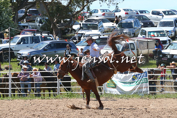 BungendoreRodeo2014_1820