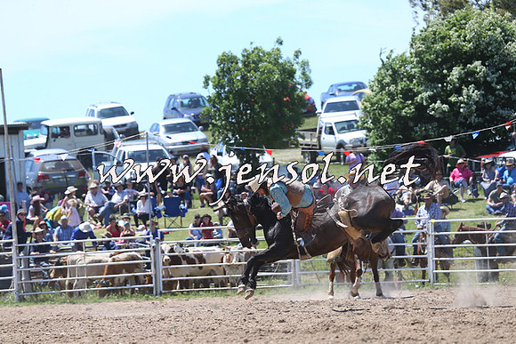 BungendoreRodeo2014_1723