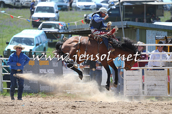 BungendoreRodeo2014_1047