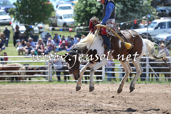 BungendoreRodeo2014_1376