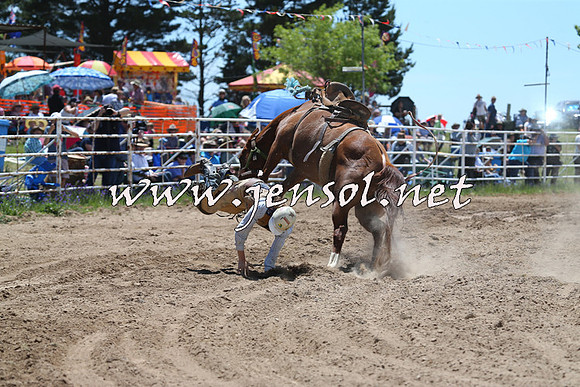 BungendoreRodeo2014_1422