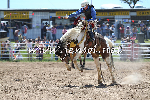 BungendoreRodeo2014_1381