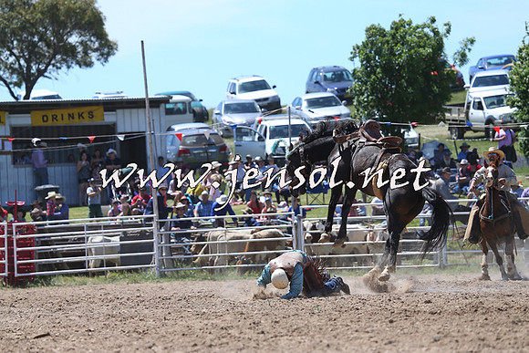 BungendoreRodeo2014_1724