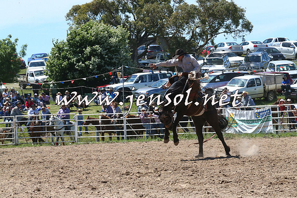 BungendoreRodeo2014_1769