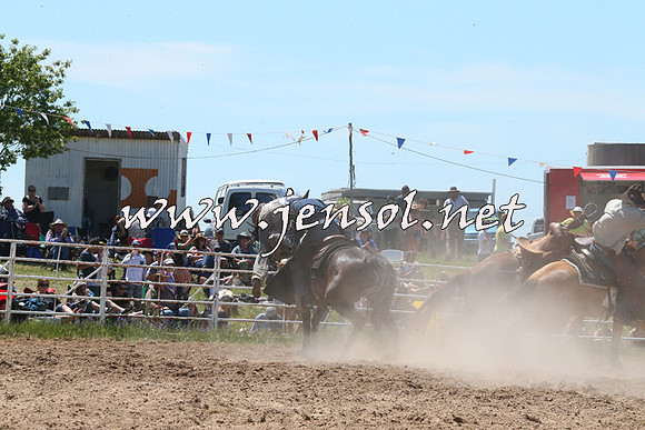 BungendoreRodeo2014_1844