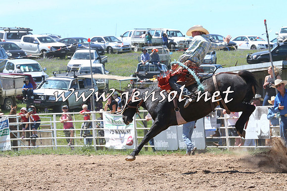 BungendoreRodeo2014_1732