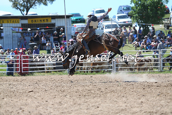 BungendoreRodeo2014_1688