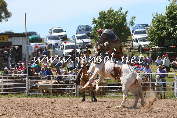 BungendoreRodeo2014_1790