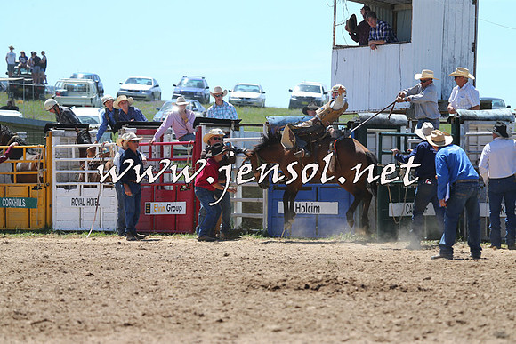 BungendoreRodeo2014_1000