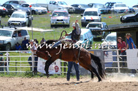 BungendoreRodeo2014_0852