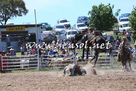 BungendoreRodeo2014_1722