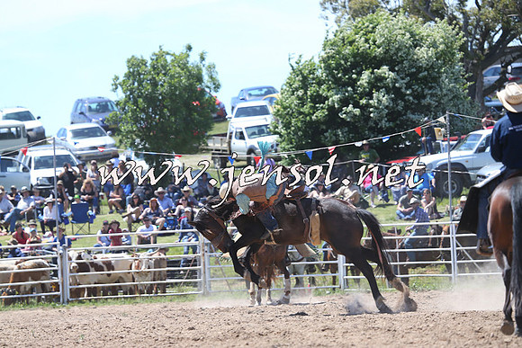 BungendoreRodeo2014_1730