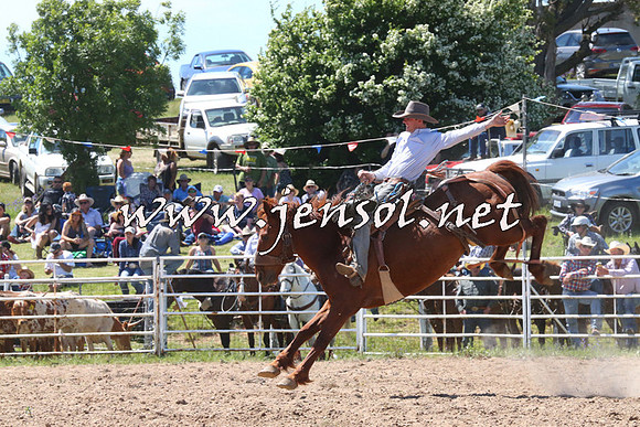 BungendoreRodeo2014_1825