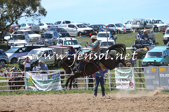 BungendoreRodeo2014_1718