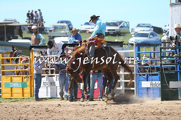 BungendoreRodeo2014_1649
