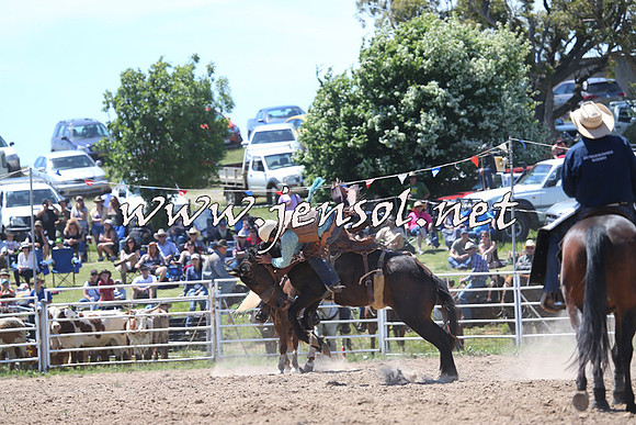 BungendoreRodeo2014_1731