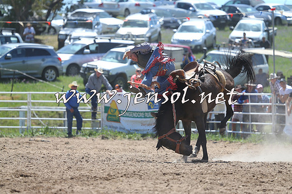 BungendoreRodeo2014_0963