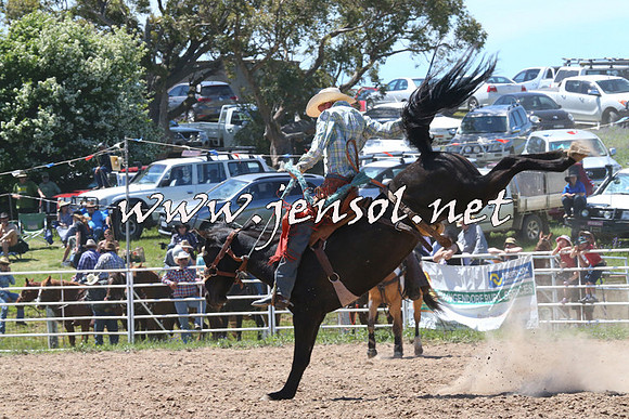 BungendoreRodeo2014_1745