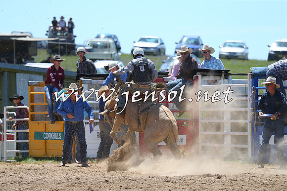 BungendoreRodeo2014_1014