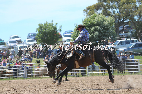 BungendoreRodeo2014_1619