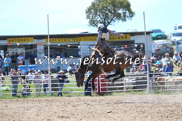 BungendoreRodeo2014_1695