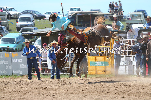 BungendoreRodeo2014_1659